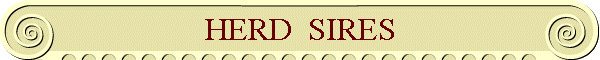 HERD  SIRES