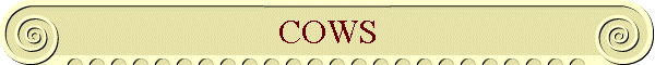 COWS